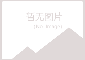 伊春带岭平安能源有限公司